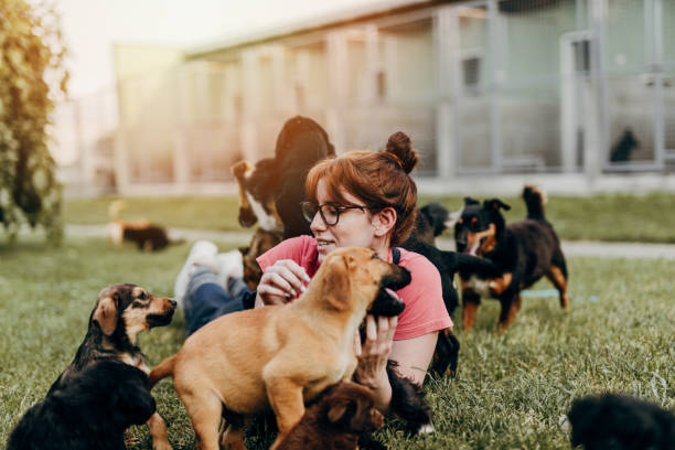 istock Young woman in animal shelter 1254804896