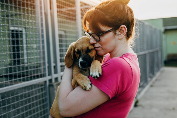 Young woman in animal shelter Young woman adopting dog from a shelter. pet adoption stock pictures, royalty-free photos & images