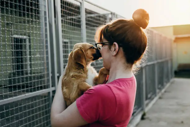 Photo of Young woman in animal shelter