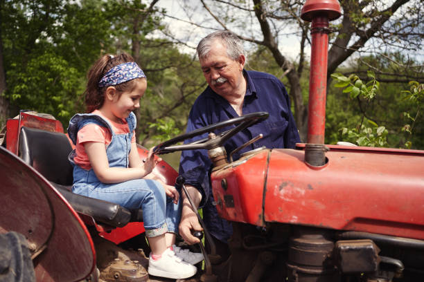 istock Little girl learning how to ride a tractor 1254805055