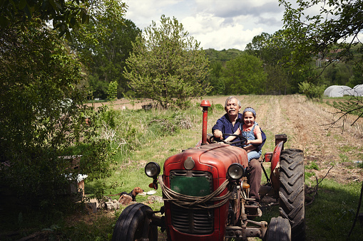 Grandfather and granddaughter returning home after going to the forest to gather wood