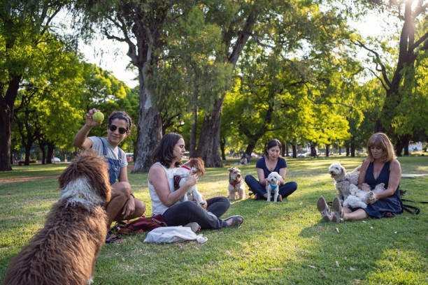istock Woman playing with her dog while relaxing with freidns 1254805268