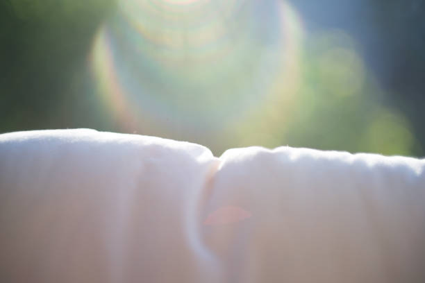Drying the bedding in direct sunlight on a sunny day.\nHouse dust mite control.