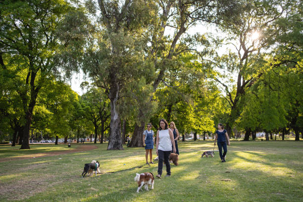 istock Dog-walking friends relaxing in a public park 1254805281