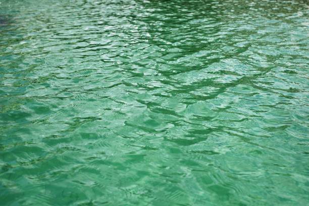 istock Expanse of water 1254805693