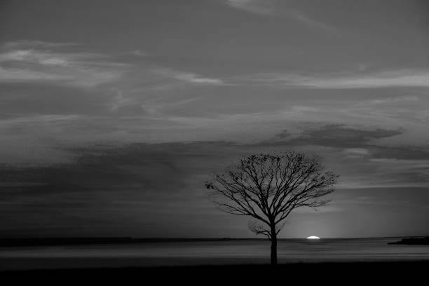 istock Landscapes of Brazil 1254807066