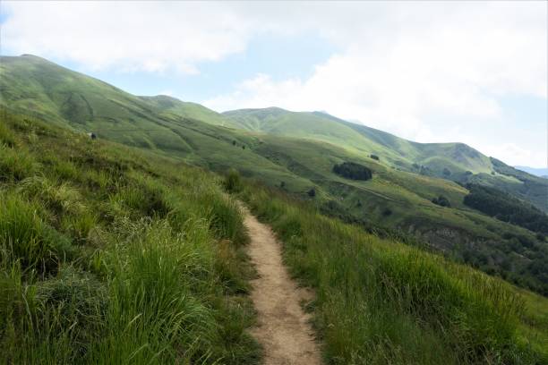 istock Tuscan-Emilian Apennines 1254808391