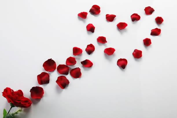 istock Heart made with rose petals 1254808980