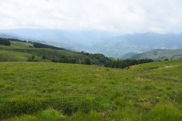 istock Tuscan-Emilian Apennines 1254809674
