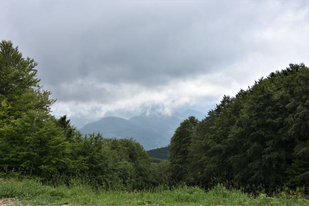 istock Tuscan-Emilian Apennines 1254810694