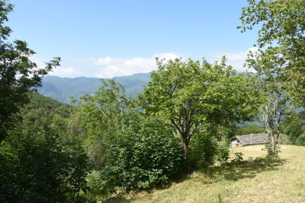 istock Tuscan-Emilian Apennines 1254811034