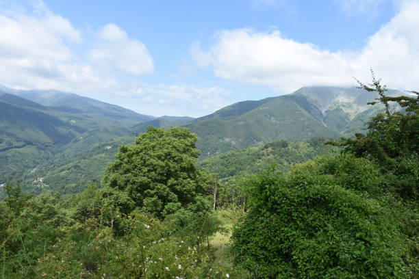 istock Tuscan-Emilian Apennines 1254812124
