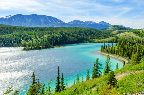 Emerald lake in Yukon stock photo