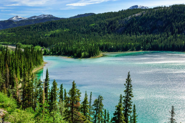 istock Emerald lake in Yukon 1254815254