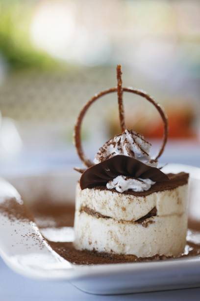 istock Tiramisu dessert 1254816375