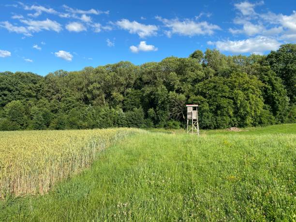 istock Hunters seat in the meadow 1254816413