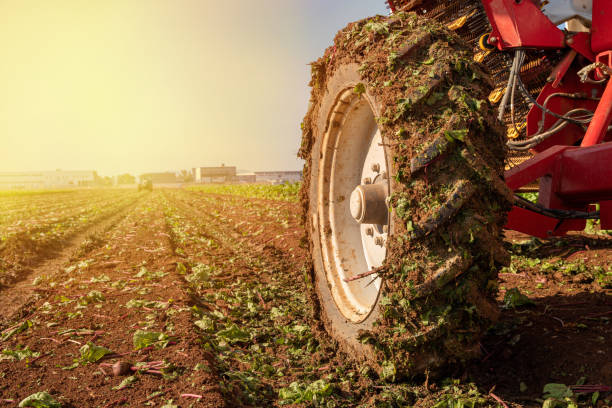 concetto di agricoltura. ruota del trattore ricoperta di fango e campo di aratura sullo sfondo. - semi truck foto e immagini stock