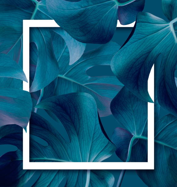 istock Tropical jungle foliage, blue leaf nature background. 1254823058