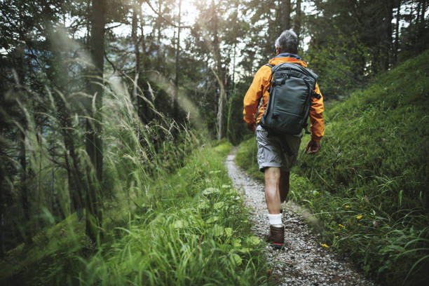 イタリアのドロミテの山林でハイキングシニアマントレイル - backpack one mature man only only mature men one man only ストックフォトと画像