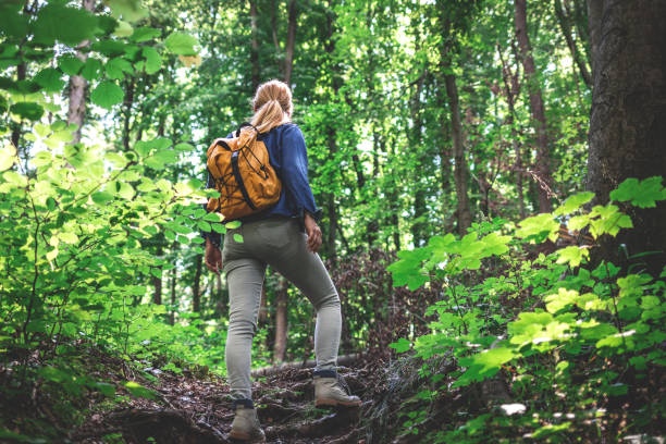 istock Woman with backpack walking in forest 1254835612