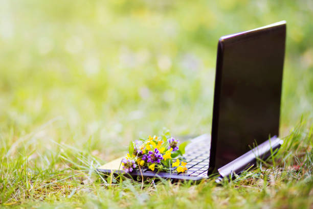 istock Flowers on a laptop in the grass 1254836072