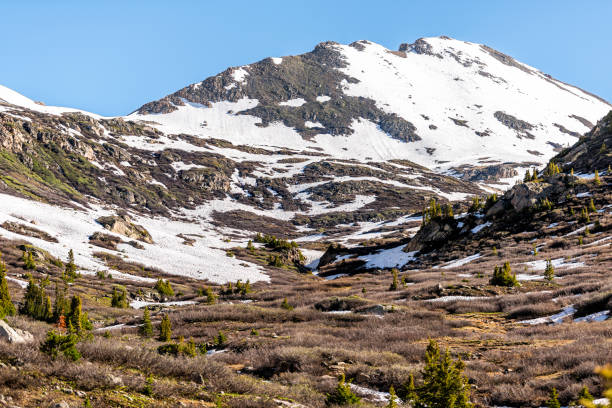 schnee auf felsigen bergen und pinien auf der wiese am linkins lake trail am independence pass bei aspen, colorado im sommer 2019 - linkins lake trail stock-fotos und bilder