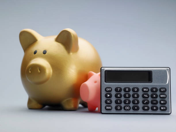 istock piggy bank and calculator 1254837330