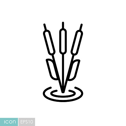 Reeds plant vector icon. Nature sign. Graph symbol for travel and tourism web site and apps design, logo, app, UI