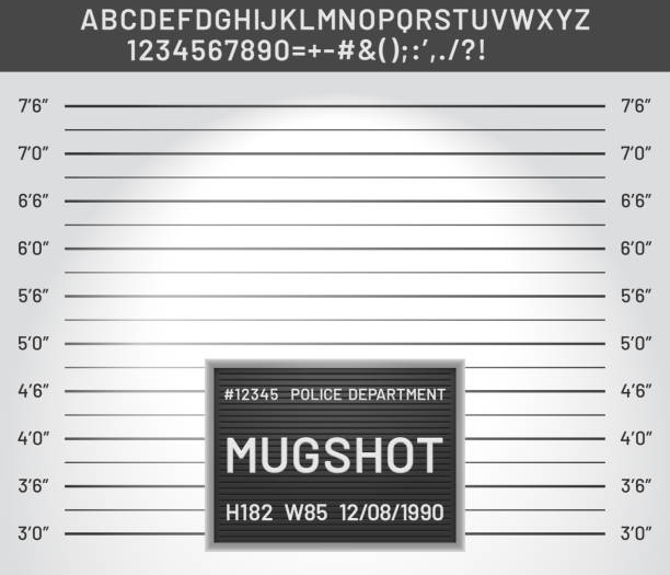 Mugshot template. Police lineup mugshot board with plastic alphabet and signs for criminals photo vector illustration Mugshot template. Police lineup mugshot board with plastic alphabet and signs for criminals photo vector illustration. Criminal height wall, suspect and danger lineup stock illustrations