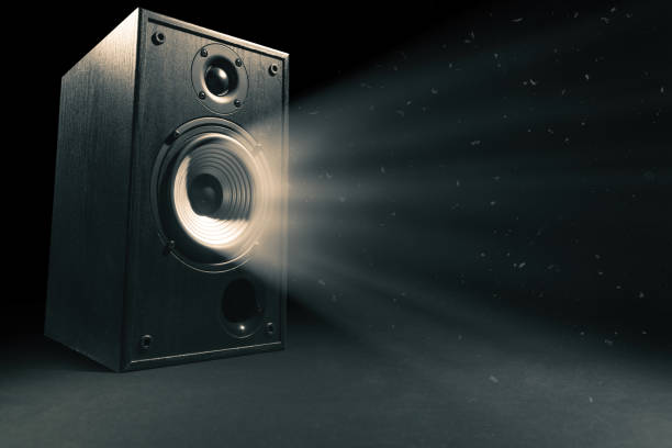 istock Black wooden sound speaker on black 1254842232