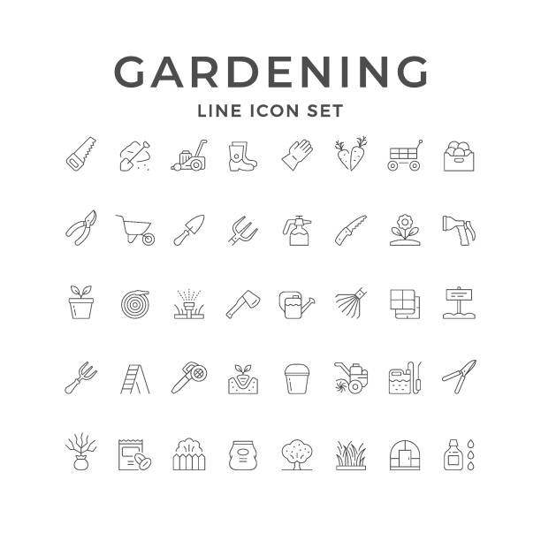 Set line icons of gardening Set line icons of gardening isolated on white. Seedling, greenhouse, lawn mower, grass, wheelbarrow, rake, fertilizer sack, garden scissors, sprinkler, hand saw, sprayer gun, tree. Vector illustration sack barrow stock illustrations