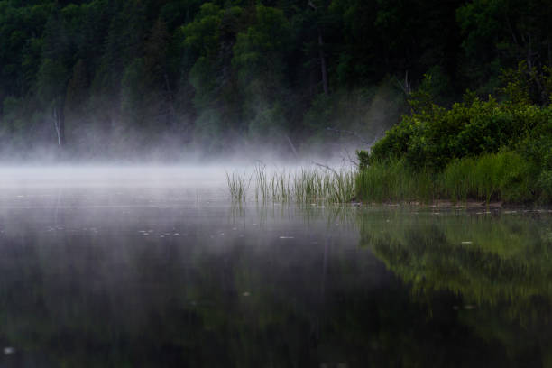 istock Mont-Tremblant national park 1254853512