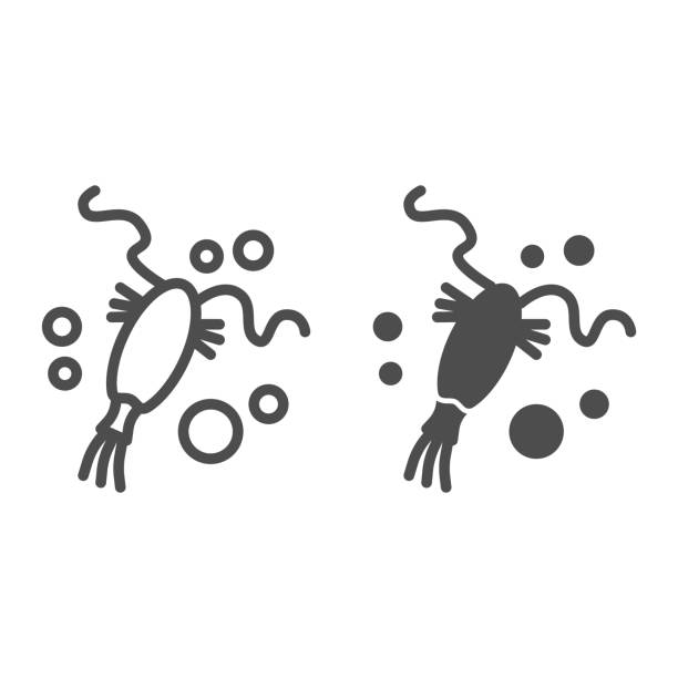 플랑크톤 라인과 단단한 아이콘, 바다 개념, 작고 미세한 바다 또는 해양 유기체는 흰색 배경에 서명, 모바일 개념 및 웹 디자인을위한 윤곽 스타일의 조개 아이콘. 벡터 그래픽. - micro organism stock illustrations