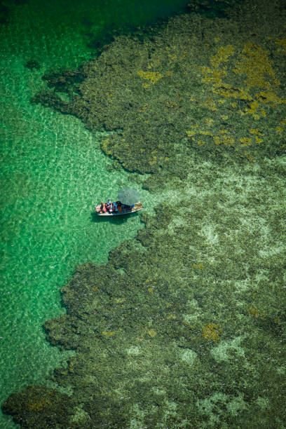 Northeast Brazil seen from above