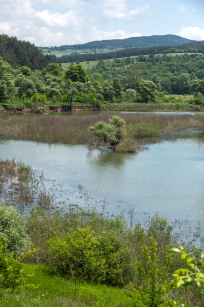 istock Topolnitsa Reservoir at Sredna Gora Mountain, Bulgaria 1254859391