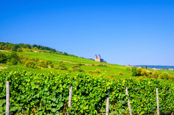 istock Vineyards green fields landscape with grapevine rows and Eibingen Benedictine Abbey of St. Hildegard on hills 1254860544