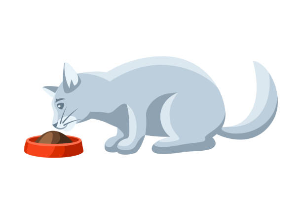 Stylized illustration of eating cat. Stylized illustration of eating cat. Image of cute kitten pet. cat muzzle meowing cartoon stock illustrations