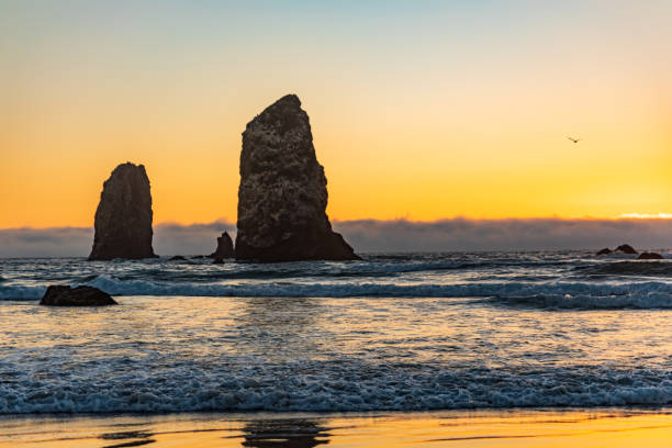 istock Sea Stacks with waves coming ashore and orange sunset behind them 1254860692