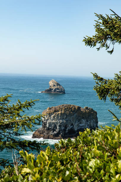 istock Vertical Image-Green trees frame view of sea stack rocks in water near coast in Oregon 1254860696