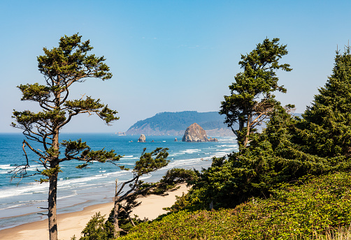 Green trees frame the view of Haystack Rock and Cannon Beach on a sunny day in Oregon