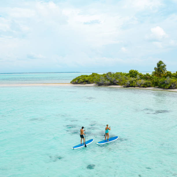 istock Couple stand up paddle boarding in ocean, Maldives 1254862575