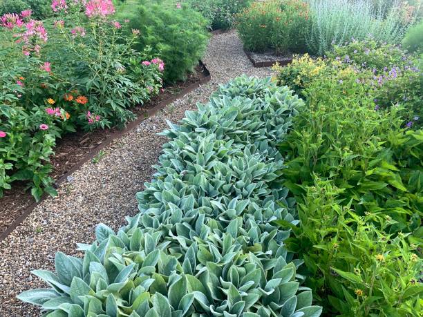 istock Formal Flower Garden 1254863119