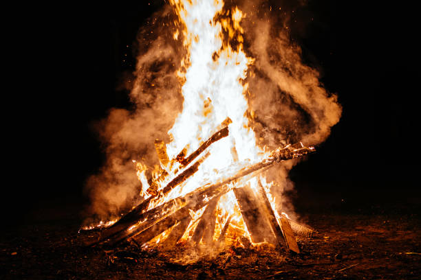 istock Summer campfire flame at night in nature 1254863982