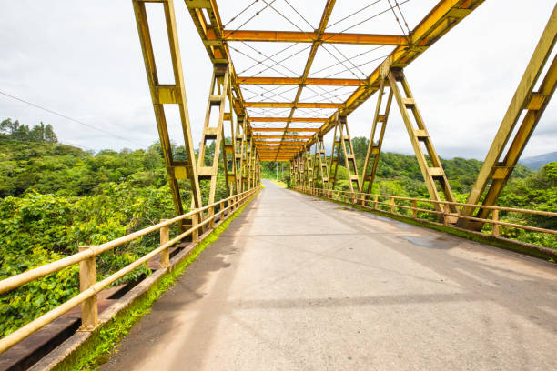 istock Costa Rica bridge over the river bearing structures 1254866917