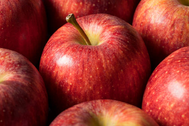 istock Raw Red Organic Gala Apples 1254867095