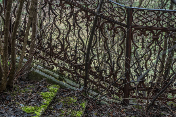 istock forged gelaender and climbed with moss from a closed 1254868154