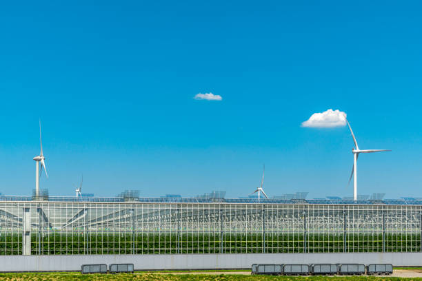 Greenhouses and renewable energy. Row Of Greenhouses and windturbine. fuel and power generation greenhouse efficiency power supply stock pictures, royalty-free photos & images