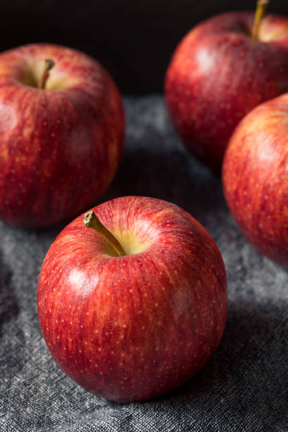 生の赤い有機ガラのリンゴ - apple gala apple fuji apple fruit ストックフォトと画像