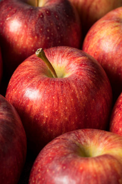 istock Raw Red Organic Gala Apples 1254869505