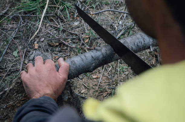istock Guy saws wood with a hand saw 1254869563